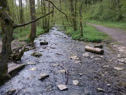 Wandern 2016